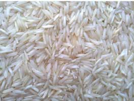 Manufacturers Exporters and Wholesale Suppliers of Basmati Steam Rice Nagpur Maharashtra